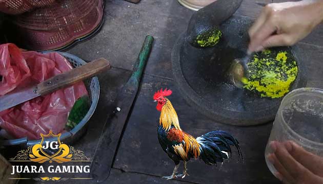 Jamu Kuat Ayam Bangkok